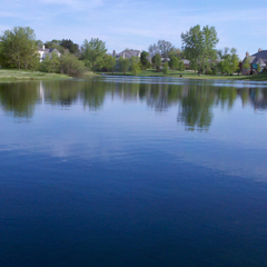 pond / lake of the month